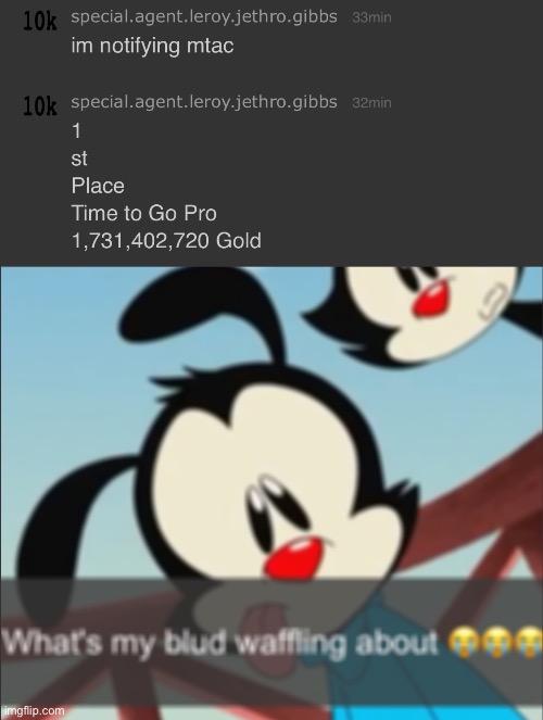 image tagged in wakko what's my blud waffling about | made w/ Imgflip meme maker