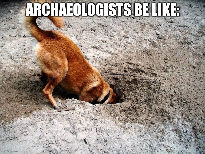 Archeology Dog | ARCHAEOLOGISTS BE LIKE: | image tagged in archeology dog | made w/ Imgflip meme maker