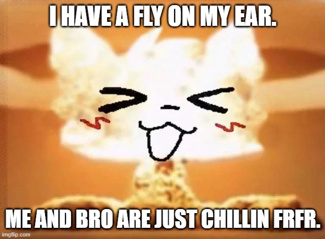 Boykisser nuke | I HAVE A FLY ON MY EAR. ME AND BRO ARE JUST CHILLIN FRFR. | image tagged in boykisser nuke | made w/ Imgflip meme maker