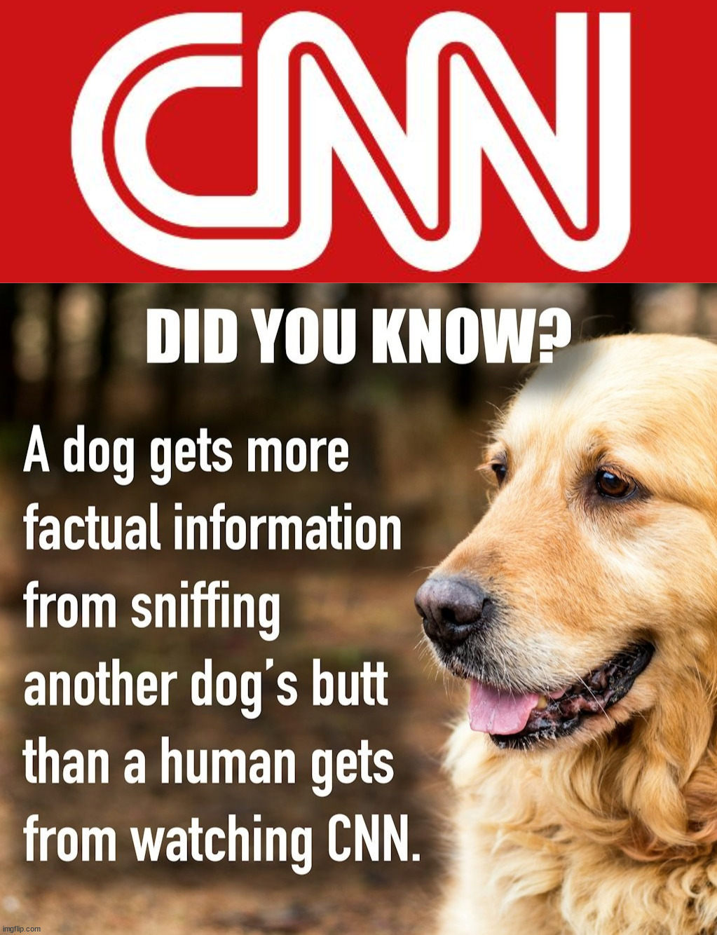 Pretty accurate | image tagged in cnn,politics | made w/ Imgflip meme maker