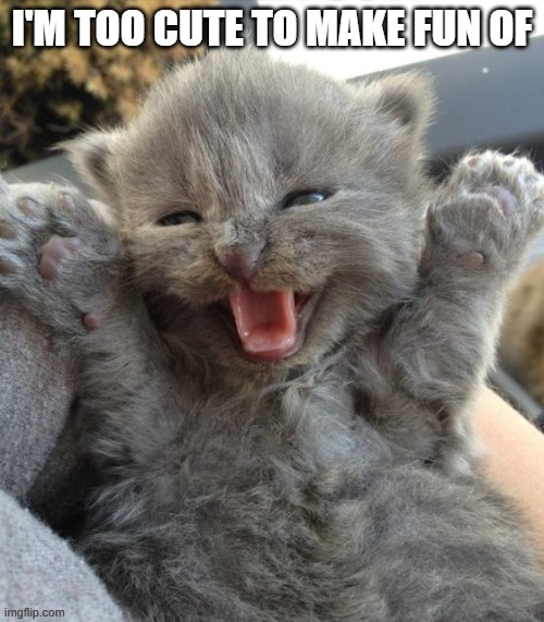 memes by Brad - Kitten is too cute to make fun of | I'M TOO CUTE TO MAKE FUN OF | image tagged in funny,cats,kittens,funny cat memes,cute kitten,humor | made w/ Imgflip meme maker