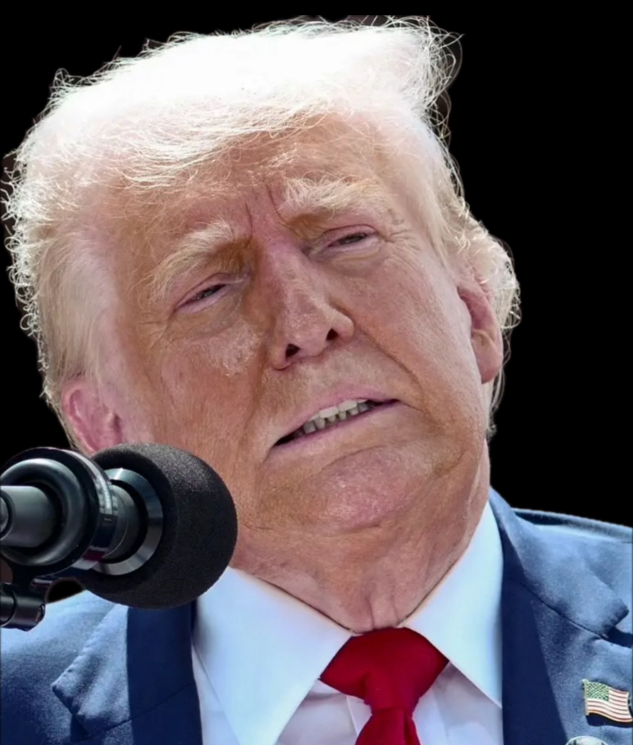 Trump Misery Blank Meme Template