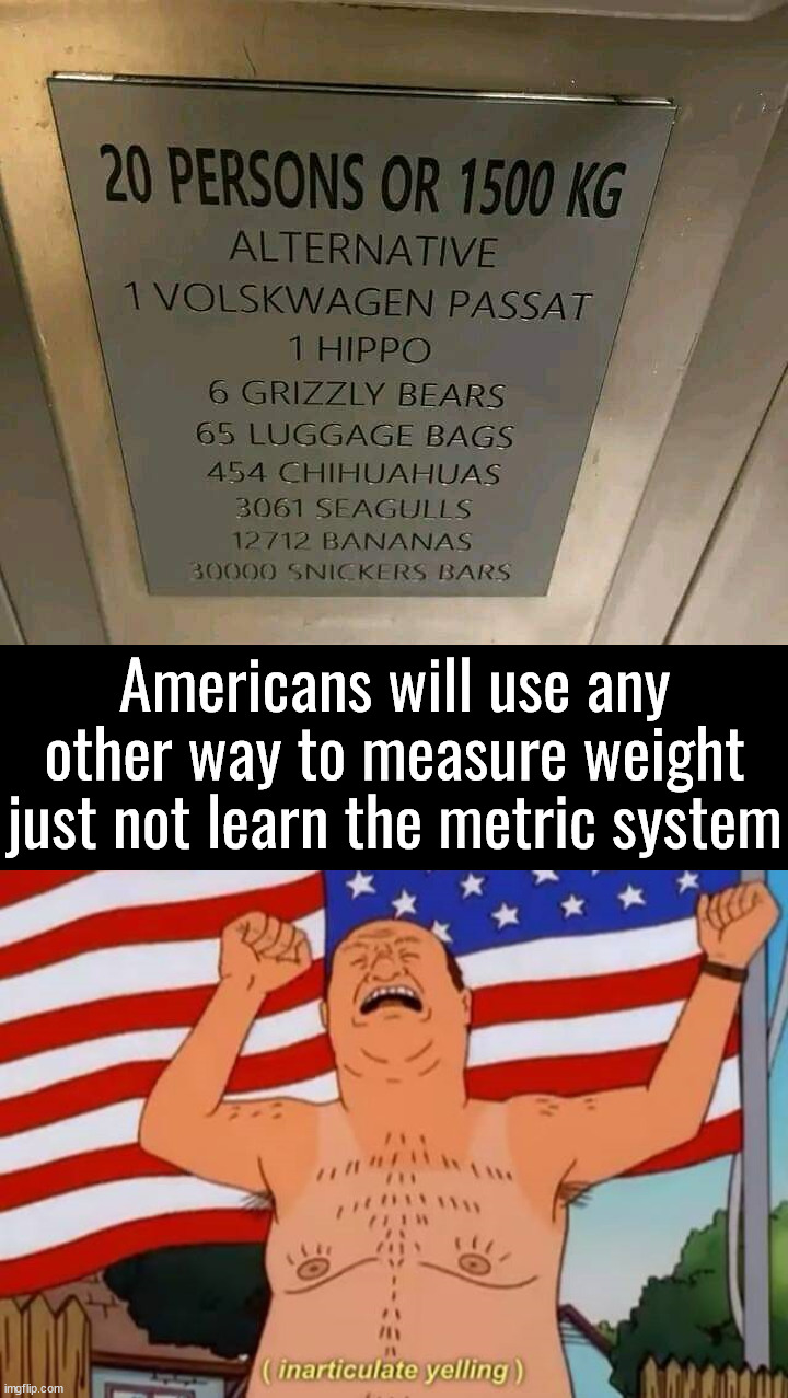 The weight of this meme is 2 cats | Americans will use any other way to measure weight just not learn the metric system | image tagged in kilograms,metric,measure,weight | made w/ Imgflip meme maker