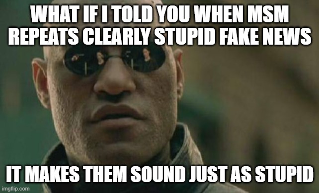 Matrix Morpheus | WHAT IF I TOLD YOU WHEN MSM REPEATS CLEARLY STUPID FAKE NEWS; IT MAKES THEM SOUND JUST AS STUPID | image tagged in memes,matrix morpheus | made w/ Imgflip meme maker