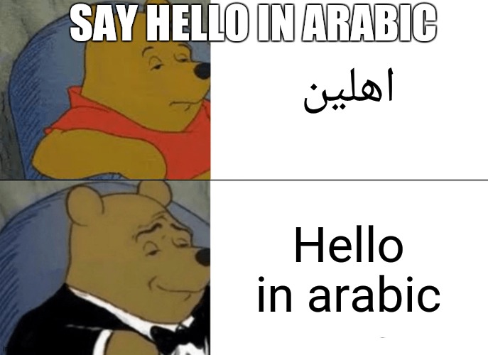 Me when they tell me say hello in arabic | SAY HELLO IN ARABIC; اهلين; Hello in arabic | image tagged in memes,tuxedo winnie the pooh | made w/ Imgflip meme maker