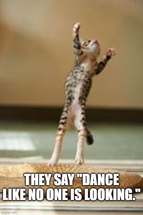 memes by Brad - Cat dancing like nobody is looking | THEY SAY "DANCE LIKE NO ONE IS LOOKING." | image tagged in funny,cats,kittens,funny dancing,humor,funny cat memes | made w/ Imgflip meme maker