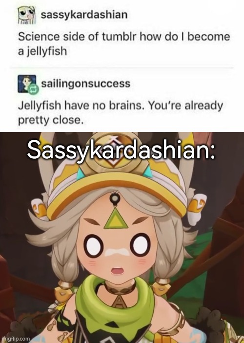 Now that's way more painful than the Jellyfish's sting. | Sassykardashian: | image tagged in funny,jellyfish,oof,roast | made w/ Imgflip meme maker