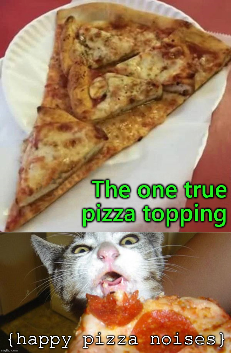 Pizza as a topping.... perfection | The one true pizza topping; {happy pizza noises} | image tagged in pizza,toppings,happy noises,cat,hungry | made w/ Imgflip meme maker