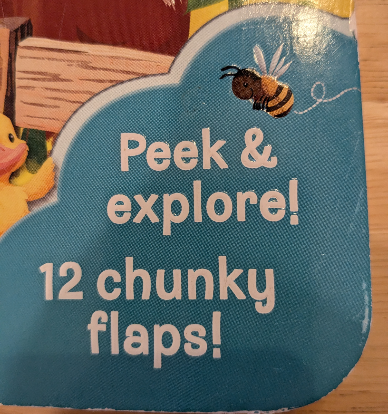 Peek and explore 12 twelve chunky flaps Blank Meme Template