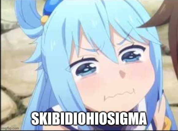 Crying Aqua Konosuba | SKIBIDIOHIOSIGMA | image tagged in crying aqua konosuba | made w/ Imgflip meme maker