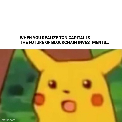 Surprised Pikachu | WHEN YOU REALIZE TON CAPITAL IS THE FUTURE OF BLOCKCHAIN INVESTMENTS… | image tagged in memes,surprised pikachu | made w/ Imgflip meme maker