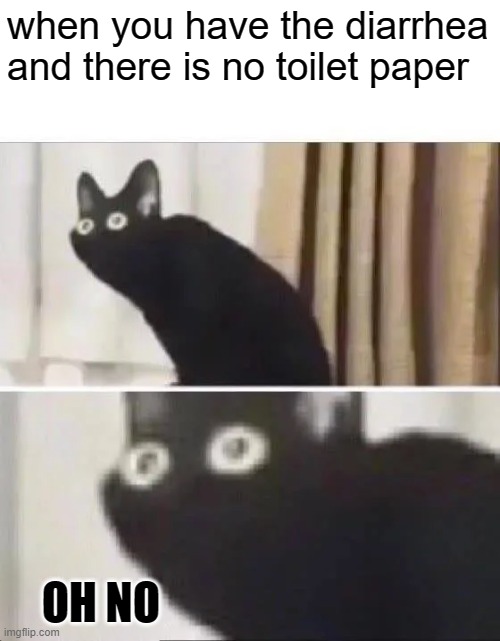 OH NO | when you have the diarrhea and there is no toilet paper; OH NO | image tagged in oh no black cat,memes,funny,funny memes,why are you reading the tags,stop reading the tags | made w/ Imgflip meme maker