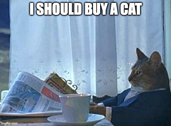 i should buy a cat | I SHOULD BUY A CAT | image tagged in memes,i should buy a boat cat,cats | made w/ Imgflip meme maker