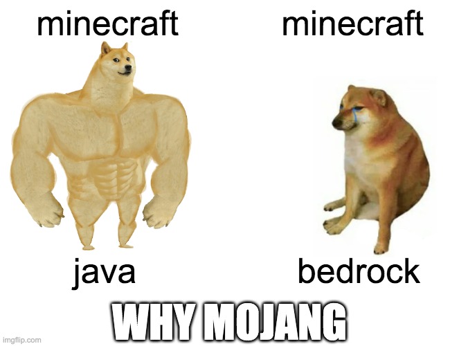 minecraft is... strange | minecraft; minecraft; java; bedrock; WHY MOJANG | image tagged in memes,buff doge vs cheems,minecraft,video games | made w/ Imgflip meme maker