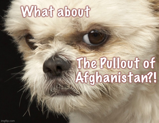 This is major.  Deep dark consequences. | What about; The Pullout of
Afghanistan?! Marko | image tagged in memes,afghan biden major f up,fjb voters kissmyass,fjb voters r delusional dipshits,fkh voters will gotohell,fafo fkh voters | made w/ Imgflip meme maker