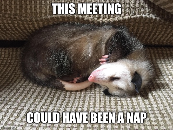 Sleepy Possum | THIS MEETING; COULD HAVE BEEN A NAP | image tagged in sleepy possum | made w/ Imgflip meme maker