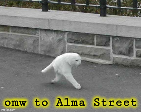 Half cat | omw to Alma Street | image tagged in half cat | made w/ Imgflip meme maker