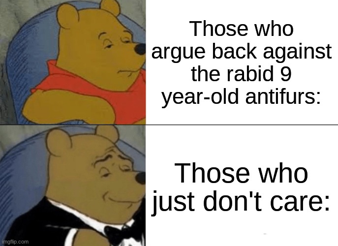 Silence is the best answer. Don't give them your attention, thats what they crave. | Those who argue back against the rabid 9 year-old antifurs:; Those who just don't care: | image tagged in memes,tuxedo winnie the pooh,tips,furries,anti furry,so true memes | made w/ Imgflip meme maker