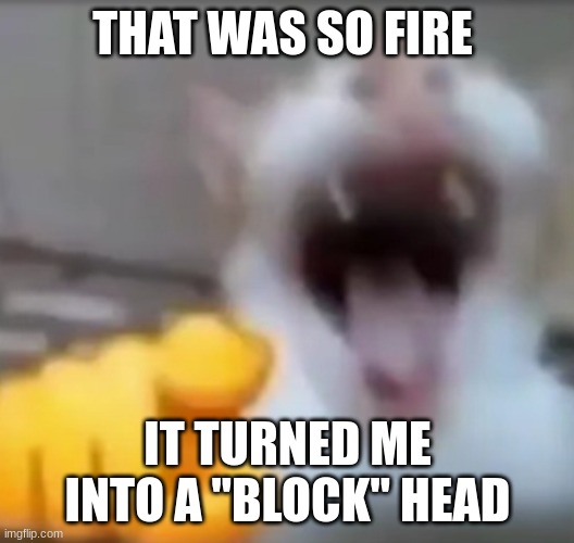 Cat pointing and laughing | THAT WAS SO FIRE IT TURNED ME INTO A "BLOCK" HEAD | image tagged in cat pointing and laughing | made w/ Imgflip meme maker