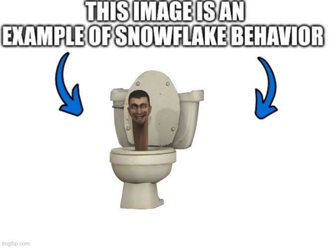 This image is an example of snowflake behavior | image tagged in this image is an example of snowflake behavior | made w/ Imgflip meme maker