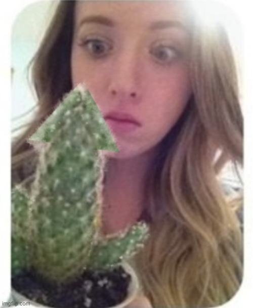 cactus upvote | image tagged in cactus upvote | made w/ Imgflip meme maker