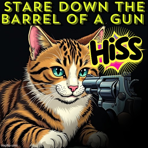 2nd Amendment | image tagged in cat,gun,memes,humor,cute cat | made w/ Imgflip meme maker