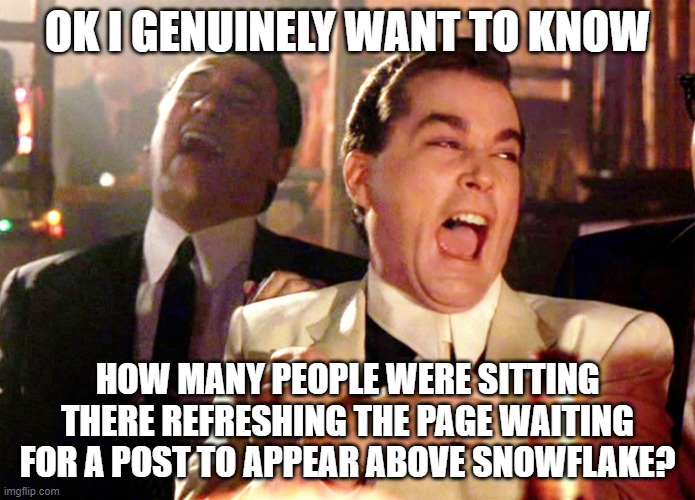 Good Fellas Hilarious Meme | OK I GENUINELY WANT TO KNOW; HOW MANY PEOPLE WERE SITTING THERE REFRESHING THE PAGE WAITING FOR A POST TO APPEAR ABOVE SNOWFLAKE? | image tagged in memes,good fellas hilarious | made w/ Imgflip meme maker