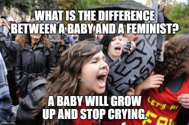 feminist baby | WHAT IS THE DIFFERENCE BETWEEN A BABY AND A FEMINIST? A BABY WILL GROW UP AND STOP CRYING. | image tagged in feminist baby | made w/ Imgflip meme maker