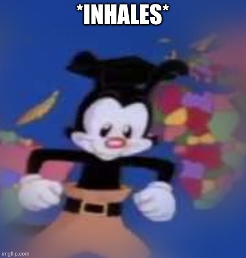 YAKKO | *INHALES* | image tagged in yakko | made w/ Imgflip meme maker