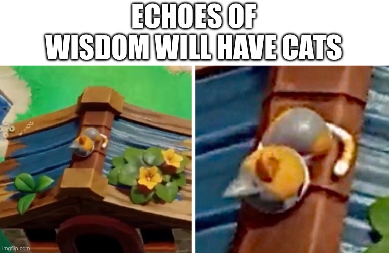 ECHOES OF WISDOM WILL HAVE CATS | image tagged in legend of zelda,zelda,cat,echoes of wisdom | made w/ Imgflip meme maker