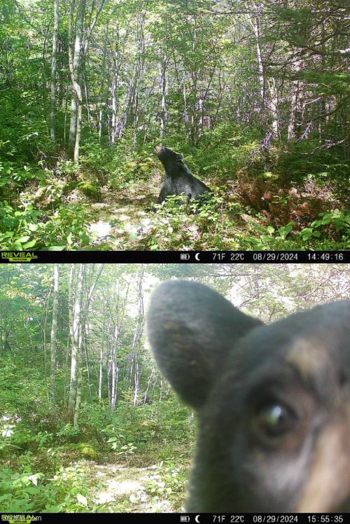 HE FOUND THE GODDAMN CAMERA | made w/ Imgflip meme maker