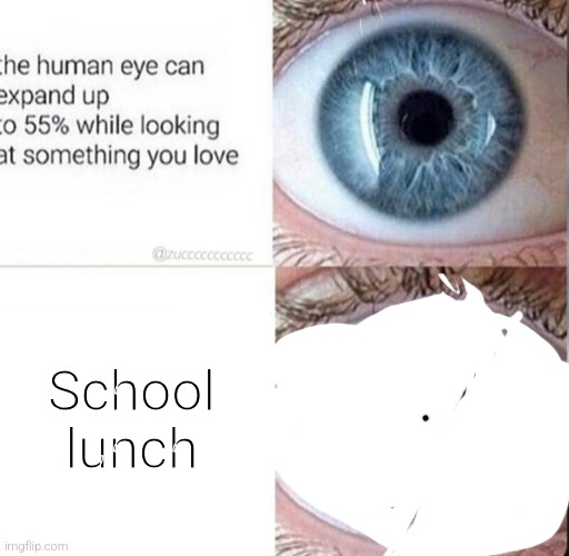 The human eye can expand up to 55% | School lunch | image tagged in the human eye can expand up to 55 | made w/ Imgflip meme maker