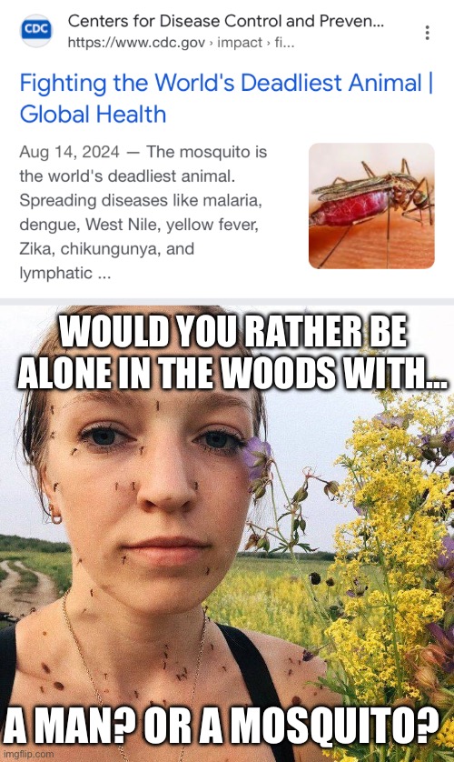 Are YOU on the right side of history? | WOULD YOU RATHER BE ALONE IN THE WOODS WITH... A MAN? OR A MOSQUITO? | image tagged in the deadliest animal,mosquito lady | made w/ Imgflip meme maker
