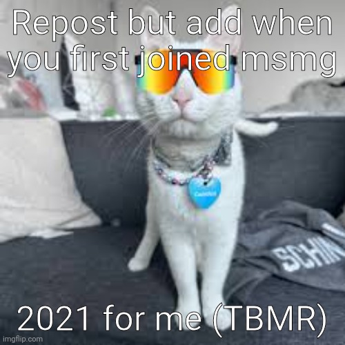 Repost but add when you first joined msmg; 2021 for me (TBMR) | made w/ Imgflip meme maker