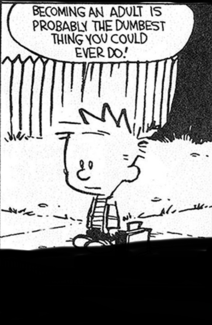 Calvin and hobbes Blank Meme Template