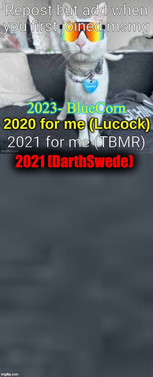 2021 (DarthSwede) | made w/ Imgflip meme maker