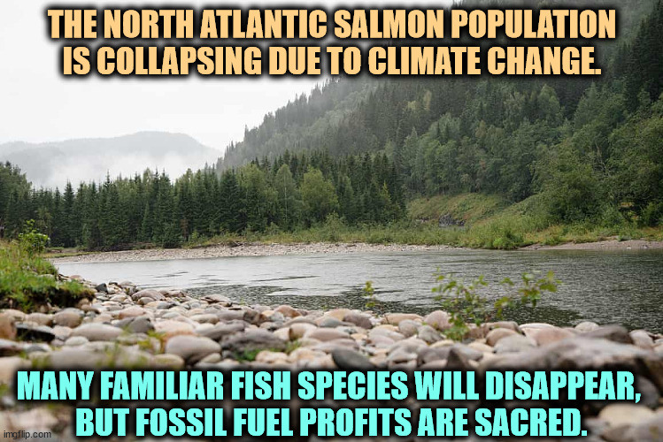 First things first. | THE NORTH ATLANTIC SALMON POPULATION IS COLLAPSING DUE TO CLIMATE CHANGE. MANY FAMILIAR FISH SPECIES WILL DISAPPEAR, 
BUT FOSSIL FUEL PROFITS ARE SACRED. | image tagged in global warming,climate change,fish,collapse,salmon | made w/ Imgflip meme maker