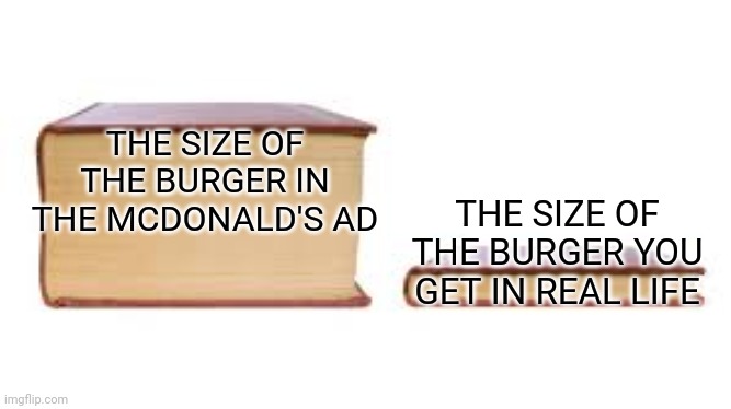 Big book small book | THE SIZE OF THE BURGER IN THE MCDONALD'S AD; THE SIZE OF THE BURGER YOU GET IN REAL LIFE | image tagged in big book small book | made w/ Imgflip meme maker