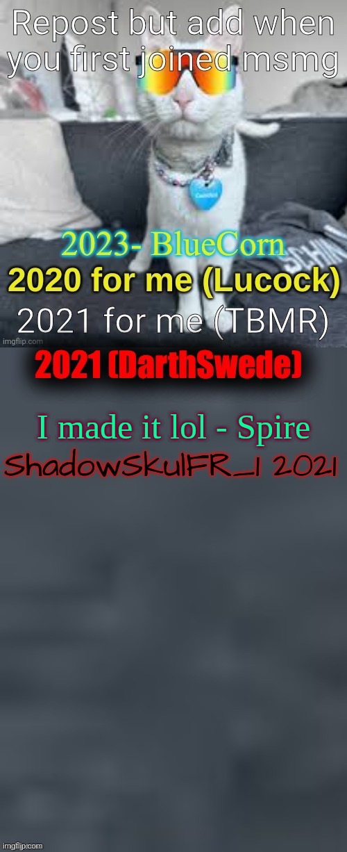 I also put my first username | ShadowSkulFR_1 2021 | made w/ Imgflip meme maker