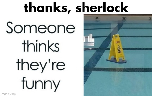 I bet it was a dad. (Dad joke) | thanks, sherlock | image tagged in funny,memes,funny memes,sherlock,no shit sherlock,water | made w/ Imgflip meme maker