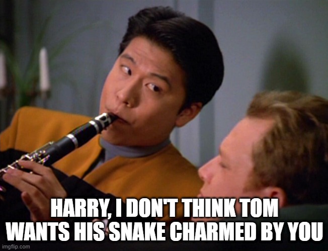 No Snake Charming Harry | HARRY, I DON'T THINK TOM WANTS HIS SNAKE CHARMED BY YOU | image tagged in star trek voyager harry kim | made w/ Imgflip meme maker