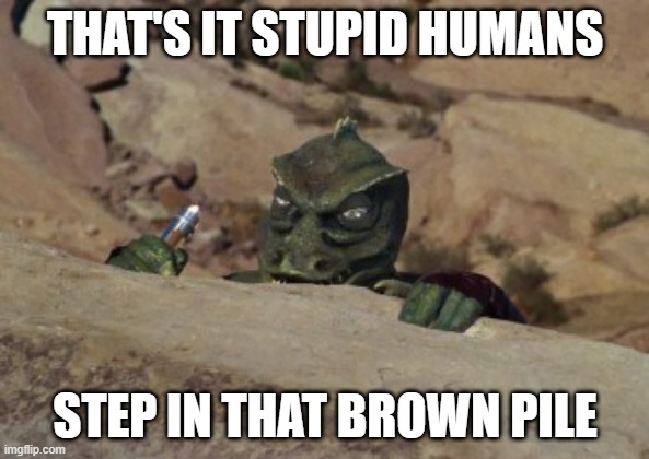 Gorn Poo | THAT'S IT STUPID HUMANS; STEP IN THAT BROWN PILE | image tagged in the gorn lays in wait star trek | made w/ Imgflip meme maker