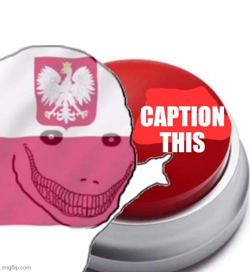 Poland button | CAPTION THIS | image tagged in poland button | made w/ Imgflip meme maker