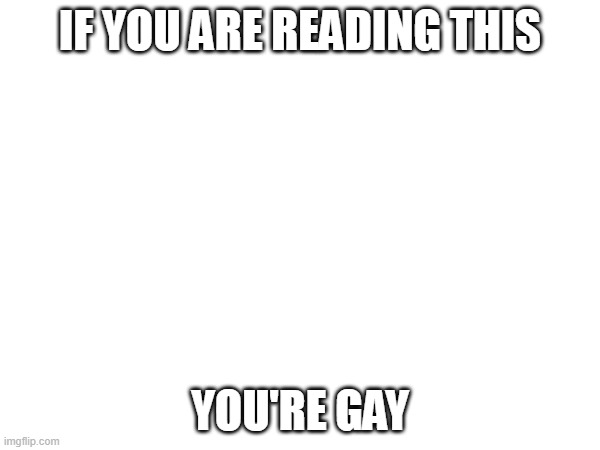 true ur gay | IF YOU ARE READING THIS; YOU'RE GAY | image tagged in gay | made w/ Imgflip meme maker