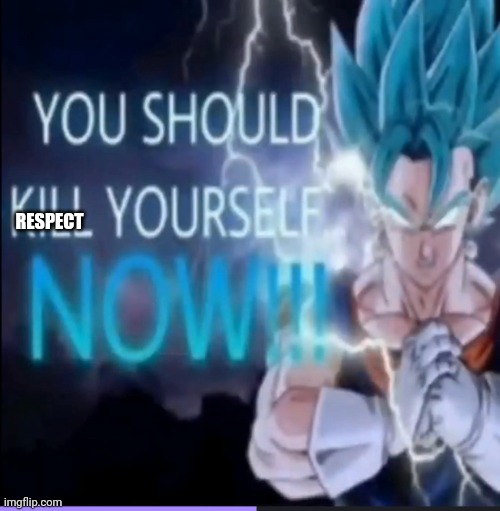 Vegito kys | RESPECT | image tagged in vegito kys | made w/ Imgflip meme maker