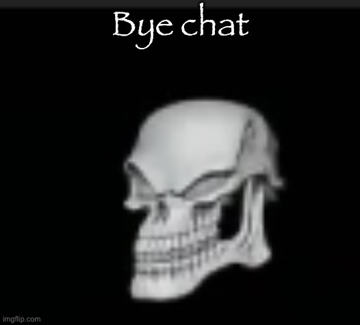 Bad to the boner | Bye chat | image tagged in bad to the boner | made w/ Imgflip meme maker