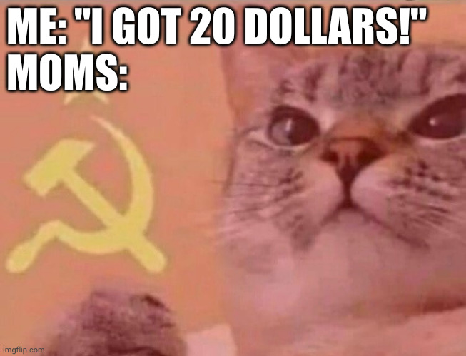 Nobody: Moms | ME: "I GOT 20 DOLLARS!"
MOMS: | image tagged in communist cat,moms,parents,communism | made w/ Imgflip meme maker