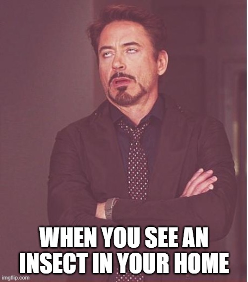 When you see an insect in your home | WHEN YOU SEE AN INSECT IN YOUR HOME | image tagged in memes,face you make robert downey jr | made w/ Imgflip meme maker