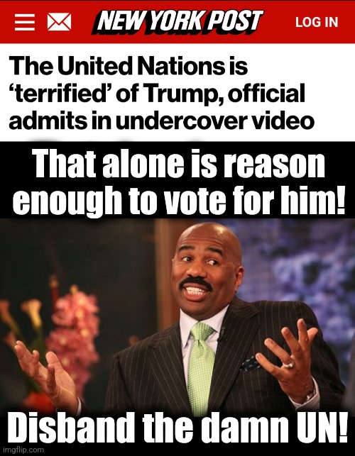 Disband the antisemitic, terrorist-supporting UN! | That alone is reason enough to vote for him! Disband the damn UN! | image tagged in memes,steve harvey,united nations,antisemitism,terrorists,disband | made w/ Imgflip meme maker