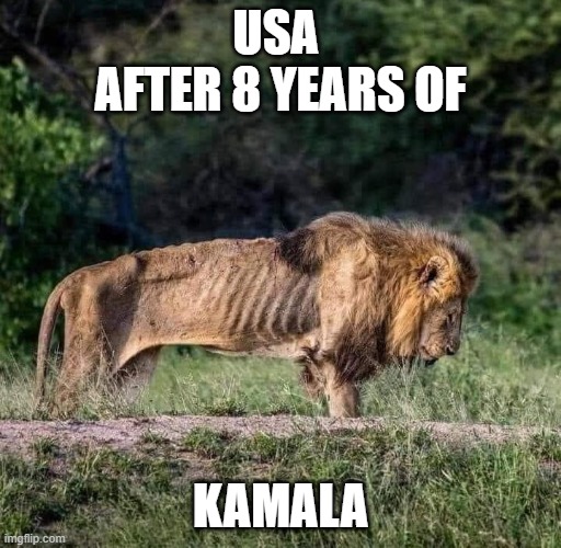 usa after 8 years of kamala | USA 
AFTER 8 YEARS OF; KAMALA | image tagged in kamala,trump | made w/ Imgflip meme maker